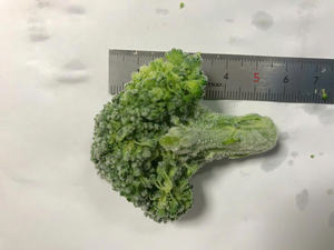 Gran cantidad de brócoli al mejor precio de un proveedor vietnamita listo para exportar - Product Image 4