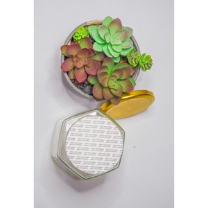 ฝาปิดขวดแบบมีกาวในตัวสำหรับผู้ผลิตในเวียดนามตัวเลือกที่ดีสำหรับฝาปิดแบบเหนี่ยวนำกันน้ำกันรั่ว - Product Image 3