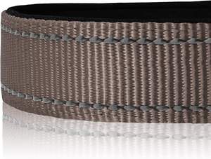 Collar de nailon barato clásico personalizado para perros, hebilla ajustable de plástico, correas de nailon antideslizantes de primera calidad para collar de perro, Color gris - Product Image 4