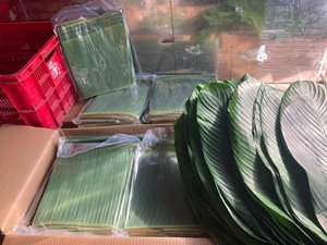 ขายส่งใบกล้วยธรรมชาติสําหรับบรรจุปรุงอาหารจากตลาดเวียดนามในราคาต่ํา - Product Image 5
