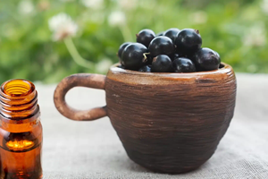 น้ำมันขนส่งเมล็ด jamun ธรรมชาติบริสุทธิ์100% สำหรับการดูแลผิวมีอัตราการ25kgs และ100kgs ในอัตราการแข่งขันที่ดีที่สุด - Product Image 2