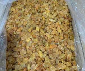 Uva seca con pasas, fruta natural oscura sin semillas necesaria para aplicaciones de horneado de salsa salada y desayuno tradicional de avena - Product Image 6