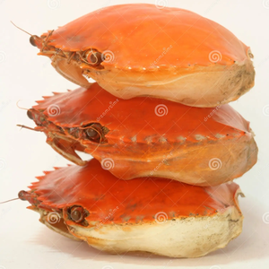 Coquilles de crabe propres, concassées et traitées pour l'exportation - Product Image 2