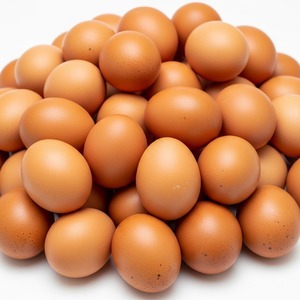 ไข่ไก่สีน้ำตาลสดและสีขาวที่มีเปลือกที่ไม่ผ่านการทำความสะอาดอย่างรอบคอบสำหรับการค้าปลีกและส่งออกทั่วโลก - Product Image 4