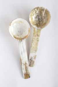 Cuchara de cuerno de búfalo y concha marina 100% de la mejor calidad con diseño de mango único, producto de regalo artesanal Natural de gran oferta - Product Image 4