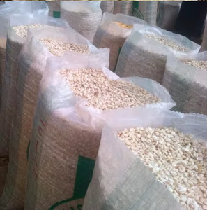Dried <b>White</b> Maize Corn Non GMO <b>White</b> Corn & <b>White</b> Corn Maize for Human & Animal Feed for sale - Product Image 1
