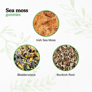 Capsules de mélange irlandais de <span class=keywords><strong>mousse</strong></span> de mer végétalienne sous marque privée, fabriquées aux États-Unis, pour soutenir l'immunité et favoriser la croissance des cheveux - Product Image 4