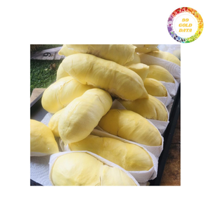 Fruta Durian congelada de alta calidad de primera calidad de Vietnam Género superior de frutas congeladas - Product Image 1