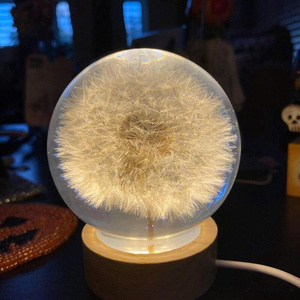 Artesanía Diente de León Luz Nocturna Bola de Cristal Transparente Base de Madera DC Fuente de Alimentación Floral Bola de Cristal Noche Artesanía de Plástico - Product Image 1