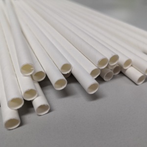 Main-Papier Pailles - Product Image 3