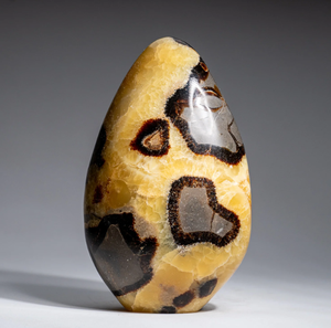 Forma libre natural de pie Septarian Piedra preciosa Roca Piedra pulida Cristal de forma libre de pie curación natural Palm Stone mayorista - Product Image 6