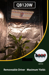 BAVAGREEN - Lámpara LED de Cultivo de Bajo Consumo de 120 W con Interruptor UV IR, Regulable, para Cultivo en Interiores de 2x2, Plantas Medicinales - Product Image 5