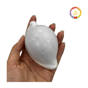 Conchas de cauri de huevo blanco raro, calidad superior Natural pulida para joyería DIY y decoración de bodas - Product Image 1