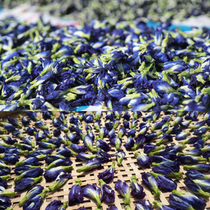 ดอกกระเพาะผีเสื้อแห้งสีน้ำเงินธรรมชาติ วัตถุดิบชาสมุนไพร คุณภาพสูง ผลิตจากฟาร์มในเวียดนาม วัตถุดิบสำหรับเครื่องดื่ม - Product Image 4