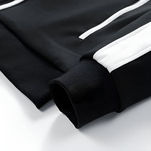 Survêtements pour hommes 2 pièces Survêtements pour hommes Survêtements à manches longues Athlétique Full Zip Casual Hommes Survêtements pour hommes - Product Image 4