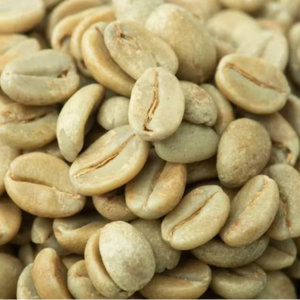 Grains de café vert Robusta de spécialité du Vietnam S18 de haute qualité G1/G2 100% naturel certifié USDA ISO 22000 TNFOOD Commande en gros pour - Product Image 1