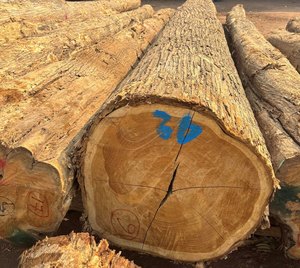 Chính hãng gỗ cứng Gỗ Tếch ván và bảng cho tấm trang trí đồ nội thất xuất khẩu sàn cửa sổ và nội thất gỗ sang trọng - Product Image 2