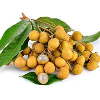 Bevroren Fruit Longan