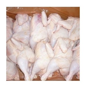 Pollo entero Halal de Grado Superior congelado de alta calidad y piezas de pollo - Product Image 1