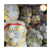 Verse Mango Vietnam Geteeld Rijp Mango Fruit, Perfect Voor Het Snijden Van Sap En Het Toevoegen Aan Een Verscheidenheid Aan Voedselproductie