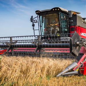 Achetez une moissonneuse-batteuse à maïs 4YZ-4WA à 4 rangs / une machine à couper le maïs à bas prix - Product Image 2