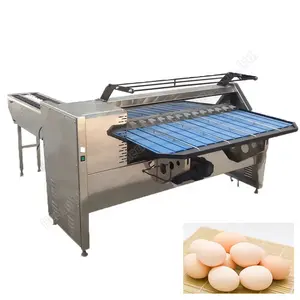 Chicken Egg Grader Machine Egg Sorting Machine By Weight