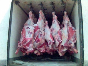 VENTE EN VRAC HALAL DÉSOMMAGE DE BŒUF CONGELÉ/CARCASSE DE BŒUF CONGELÉ pour EXPORTATION MAINTENANT - Product Image 4