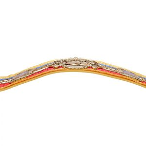 NWA Domed Globe World Heavyweight Championship Ceinture - Product Image 4