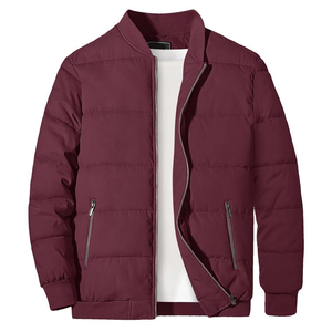 Veste bomber matelassée de haute qualité pour homme 2026, doublée, fermeture éclair intégrale, veste décontractée, veste en poly, coupe-vent épais, vêtements d'extérieur, hiver - Product Image 2