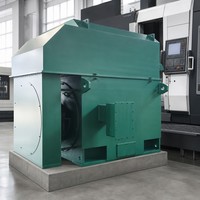 Moteur triphasé AC haute tension WPDJ YKK6301-12 560KW 6000V 495RPM pour machine-outil certifié CE