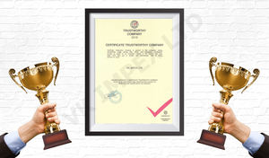 Chimeneas de leña de combustible sólido de eficiencia térmica nominal de 7,5 kW de la mejor calidad de diseño moderno del fabricante de origen búlgaro - Product Image 6