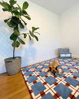 Tapis d'intérieur moderne en coton écologique, résistant à l'eau, à poils longs, tissé à la main, adapté aux animaux domestiques, tapis rectangulaire doux pour le salon