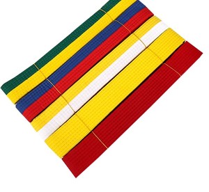 Vente en gros OEM Nouveau 2024 Ceinture d'arts martiaux 100% coton de haute qualité Ceinture de karaté bleu rouge à vendre - Product Image 2