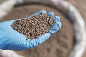 Engrais granulaire au phosphate de roche avec une pureté de 99 % pour usage agricole DAP - Product Image 5