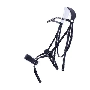 Jumping Bridle