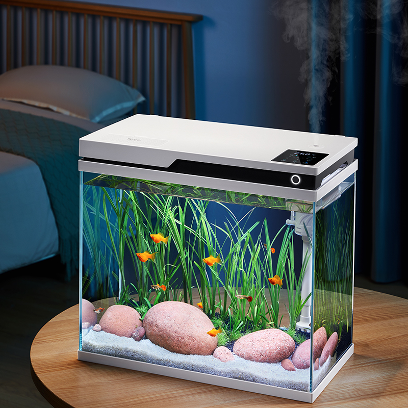 20 Liter Fish Tank Ideal for Beginners in Aquatics