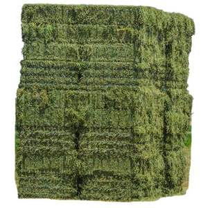 Foin d'alfalfa de première qualité pour chevaux, bovins, porcs, chiens et poissons, farine de soja pour l'alimentation animale - Product Image 3