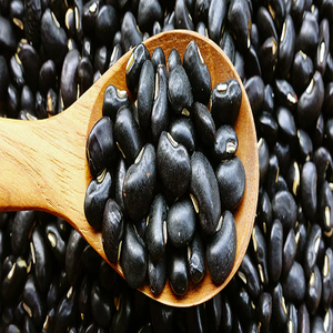 Haricots noirs de qualité supérieure Meilleure vente Livraison rapide Acheter à prix de gros Haricots de haute qualité en ligne - Product Image 4