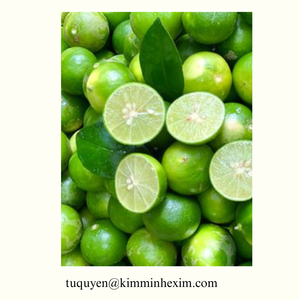 ผลไม้แช่แข็งจากผลไม้สดจากเวียดนามแพ็คสุญญากาศบรรจุจำนวนมาก - Product Image 3