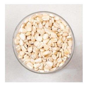 Granos de Maíz Amarillo Secos, Granos de Maíz Blanco Frescos |   Precio al por Mayor de Maíz - Product Image 2