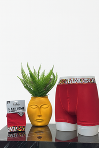 Caleçons Boxers Homme OEM en Coton et Spandex Taille Moyenne, Extensibles, Respirants, Sans Coutures, Anti-Bactériens avec Option Marque Privée - Product Image 2