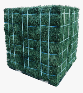 Heno de alfalfa de grado alimenticio al por mayor para perros - Product Image 2