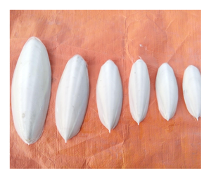 Hueso de sepia de suministro de fábrica de Vietnam: hueso de calamar de alta calidad, seguro para mascotas, gran stock de exportación, la mejor oferta de precio a granel para exportación - Product Image 4