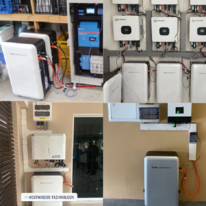 Batería de Litio para Energía <span class=keywords><strong>Solar</strong></span> Residencial de 51.2v, <span class=keywords><strong>5kwh</strong></span>, 10kwh, 16kwh, Ciclo de Batería Eléctrica de Litio de 100ah, 200ah, 314ah - Product Image 6