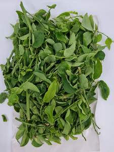 Hojas Secas Dulces a Granel 5kg de Viet Delta Corporation - Product Image 6