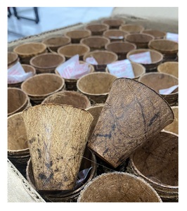 Macetas de inicio de semillas de coco Macetas de vivero biodegradables Macetas de plántulas Germinación de proveedor Vietnam - Product Image 5
