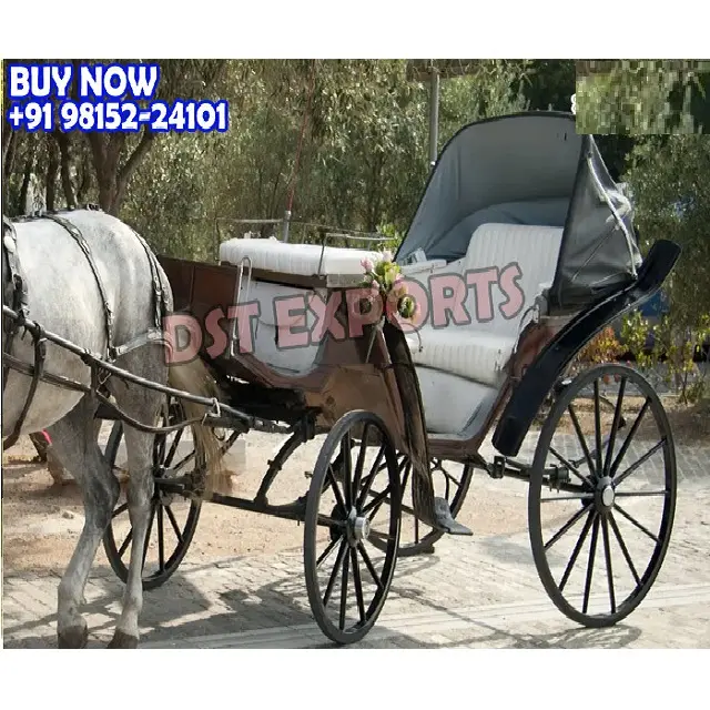 Black Victoria Touring Carriage and Chariot Antique Horse Drawn Wagon In Victorian Style Stylish Horse Driven Double Seat Cart