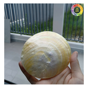 ช้อนหอยมุกปรับแต่งได้ตามต้องการช้อนแม่ของไข่มุกคาเวียร์ช้อนที่ให้บริการทำด้วยมือ - Product Image 3