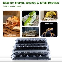 Caisse de transport en aluminium sur mesure anti-évasion pour salons professionnels, avec système de verrouillage Airflow élégant pour vitrine d'exposition de lézards, caméléons, serpents et geckos