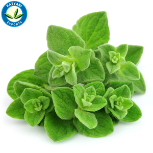 100% คาร์วาคอลออริกาโนบริสุทธิ์และออร์แกนิกจำนวนมากในราคาที่ดีที่สุด - Product Image 3